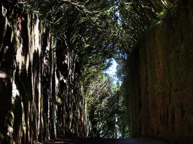 Parque Rural de Anaga